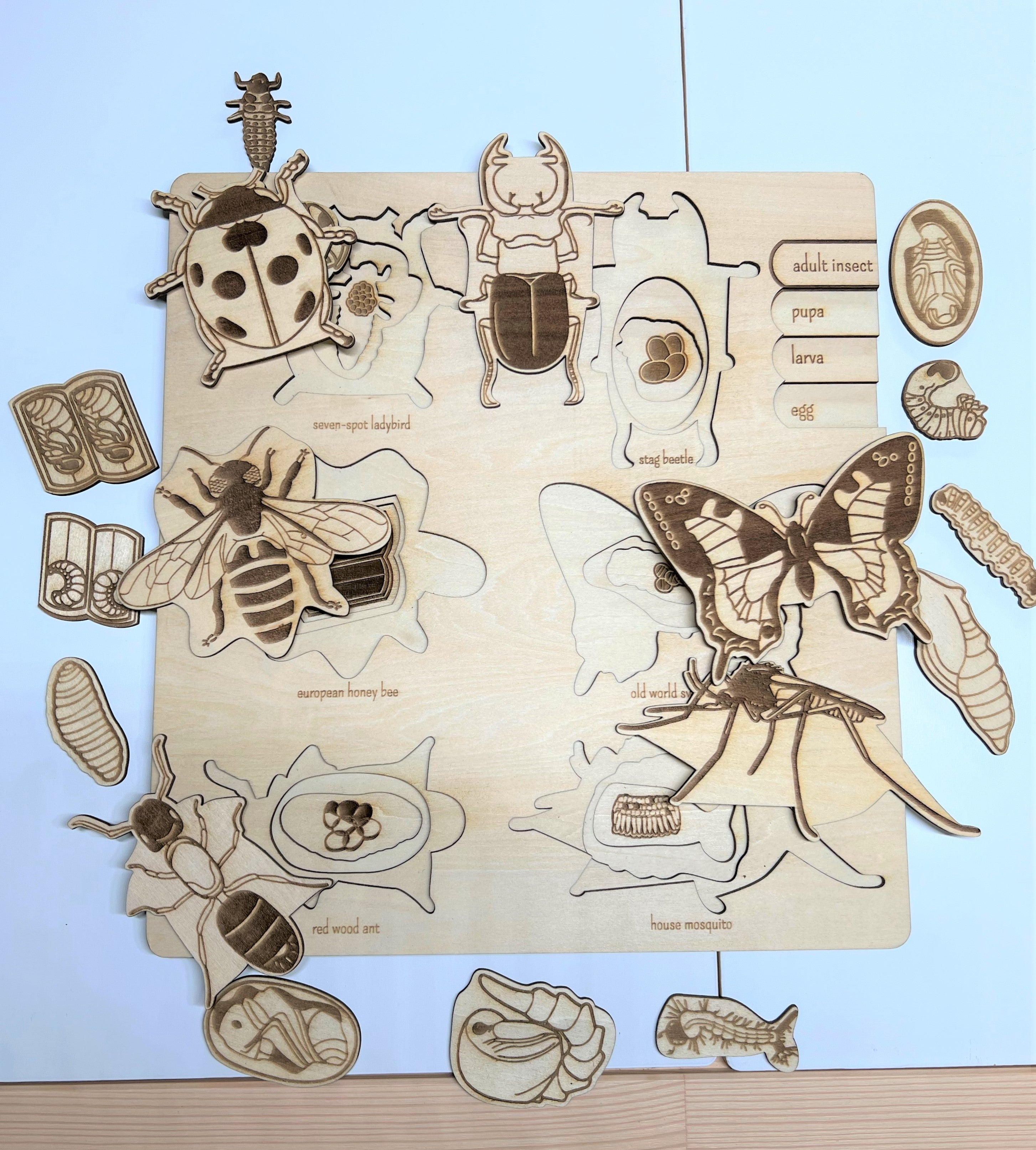 Educational Multi-Layered Wooden Puzzle