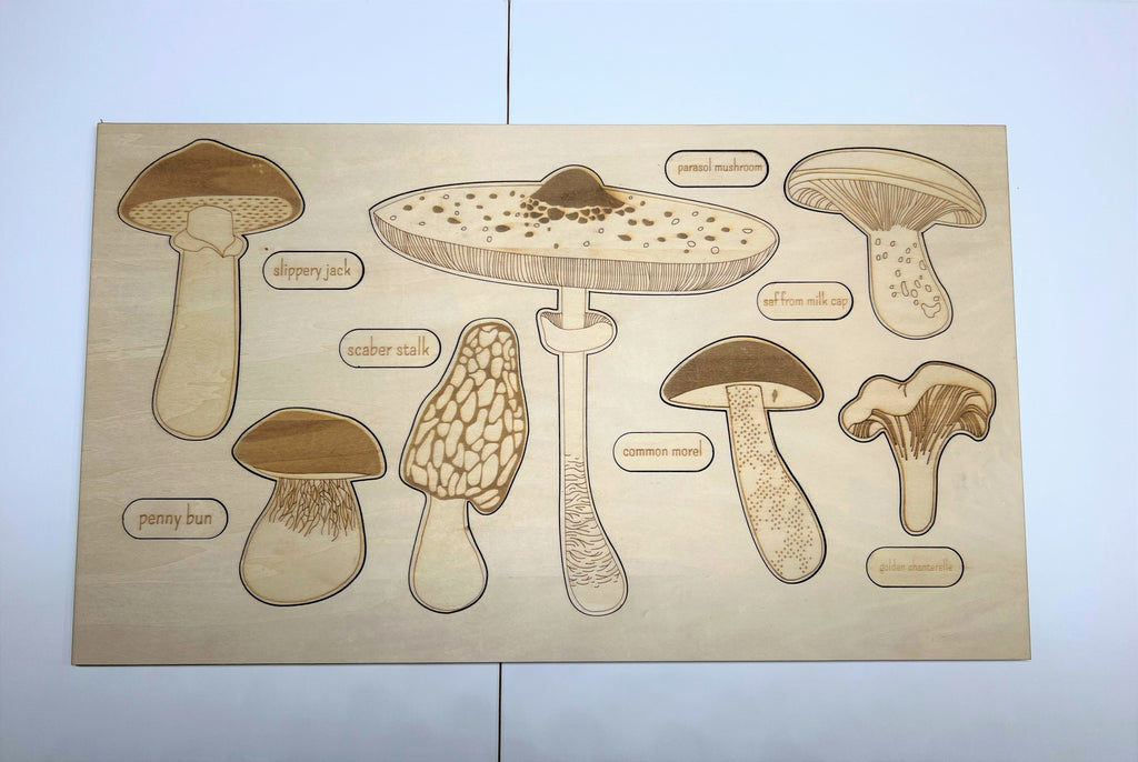 Educational Multi-Layered Wooden Puzzle