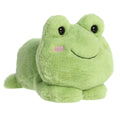 '- Too Cute - 9" Fovo Frog