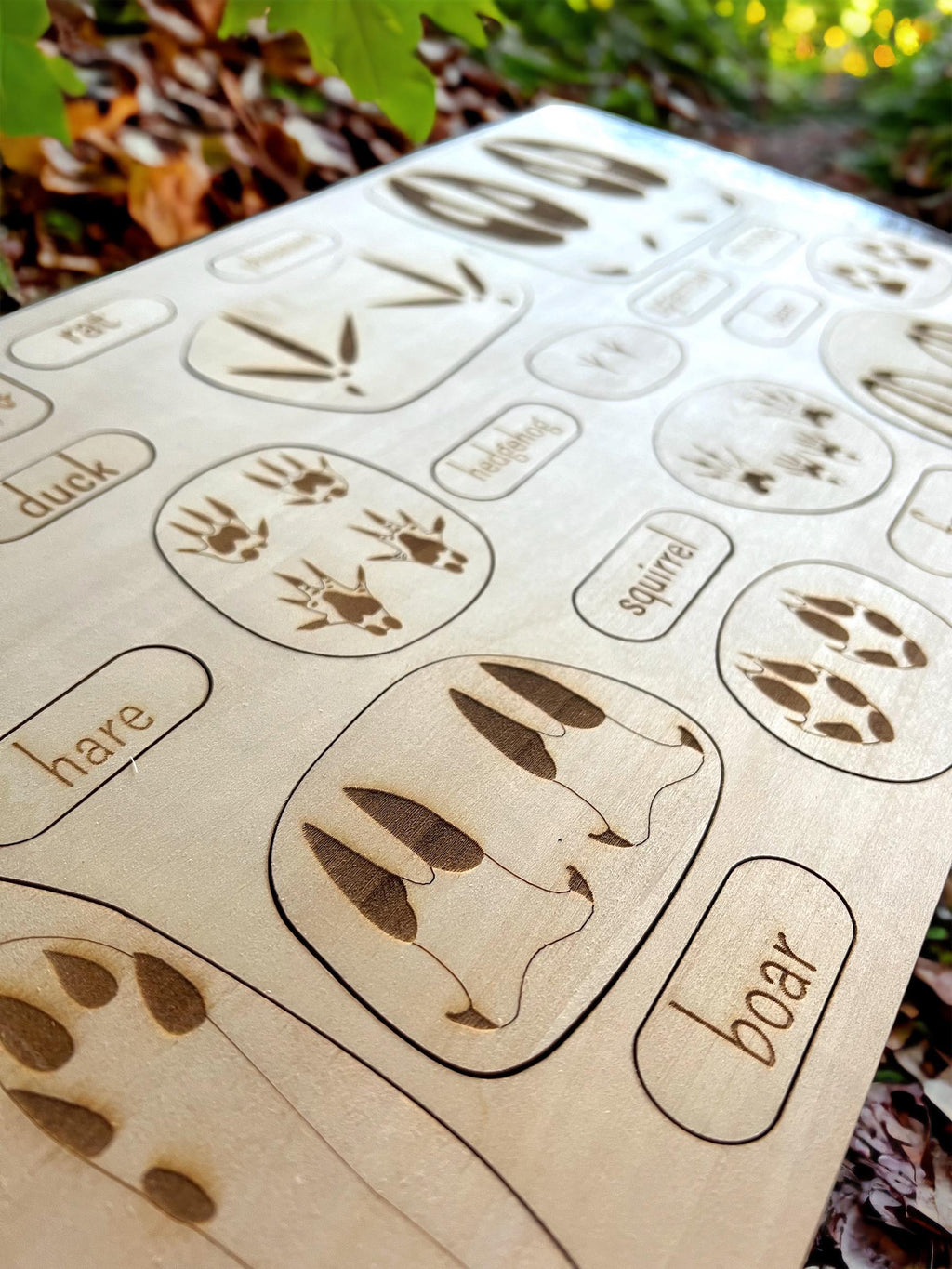 Educational Multi-Layered Wooden Puzzle