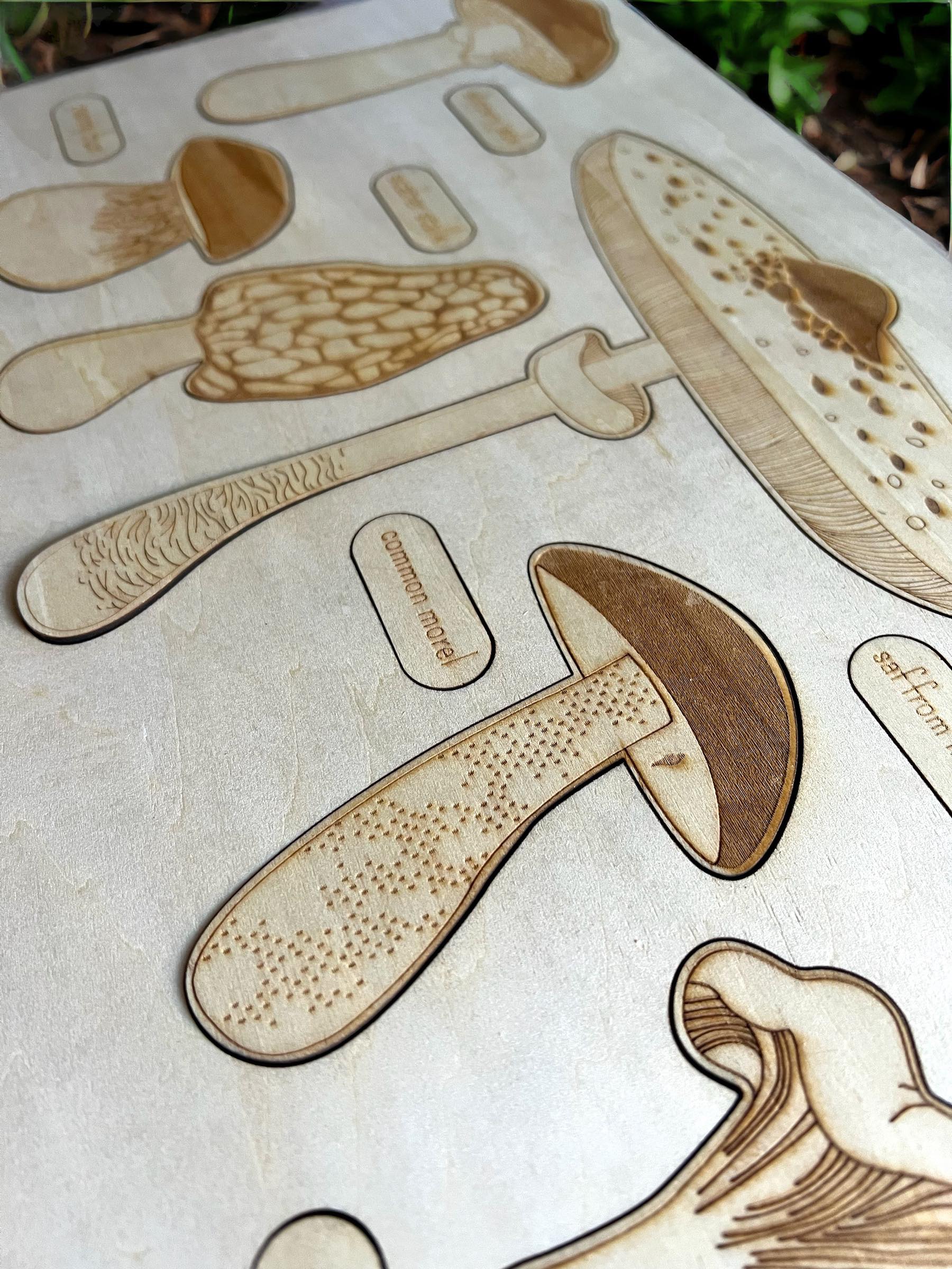 Educational Multi-Layered Wooden Puzzle