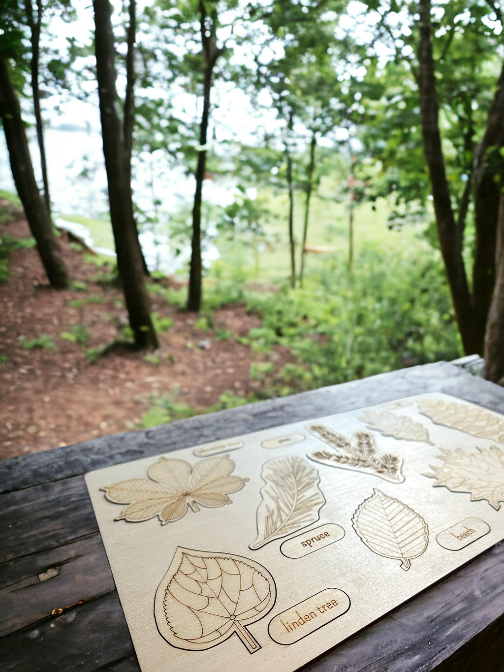 Educational Multi-Layered Wooden Puzzle
