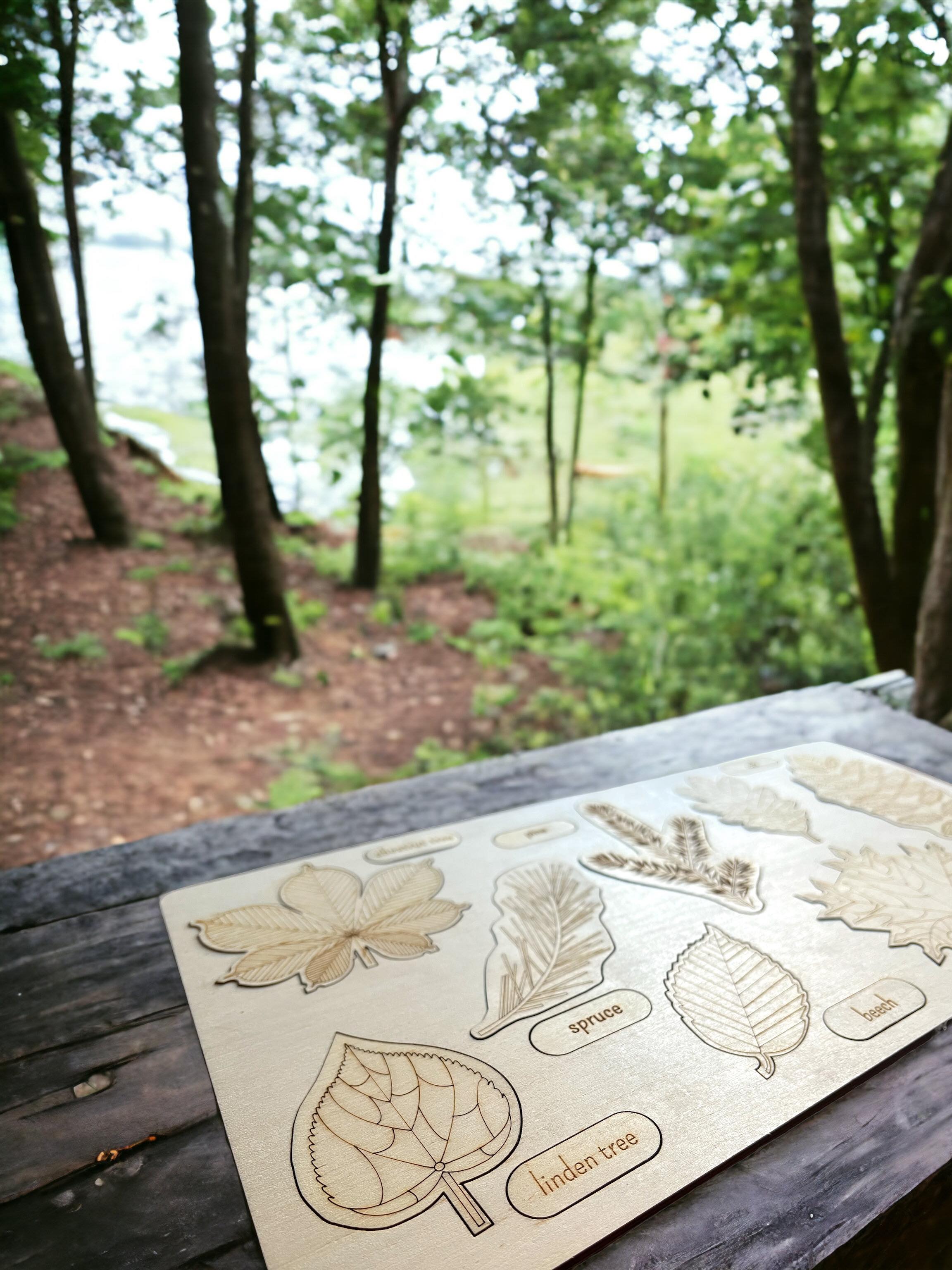 Educational Multi-Layered Wooden Puzzle