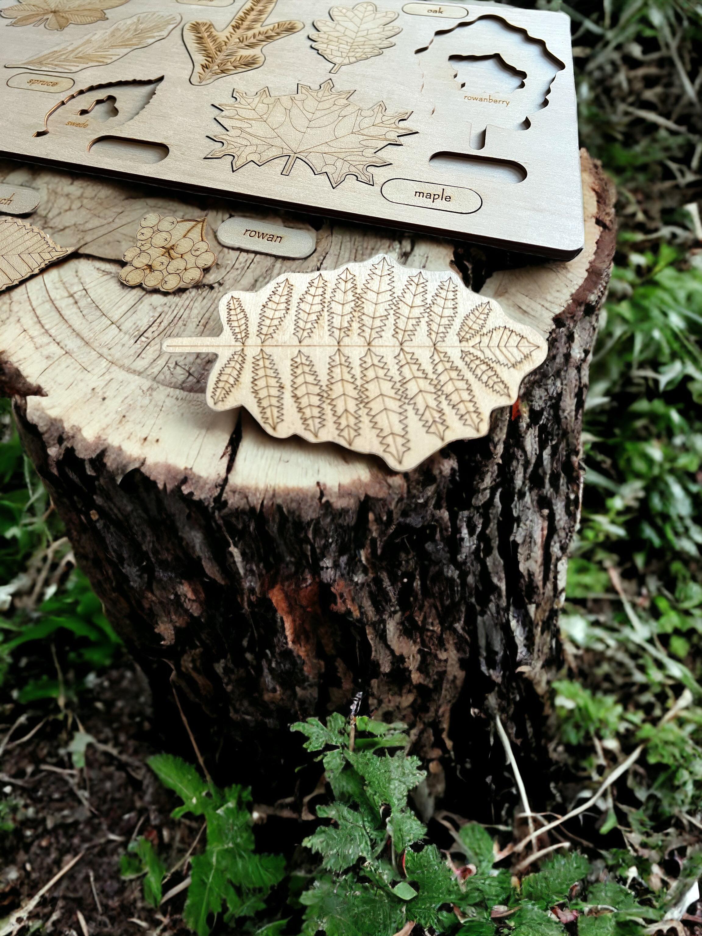 Educational Multi-Layered Wooden Puzzle