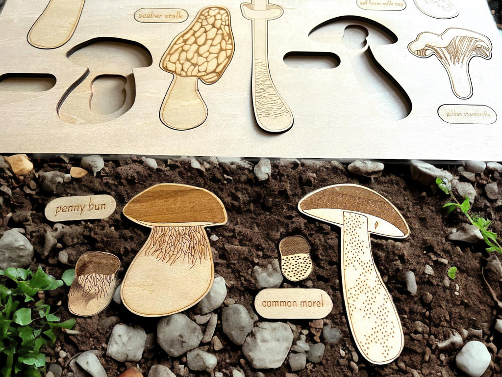 Educational Multi-Layered Wooden Puzzle