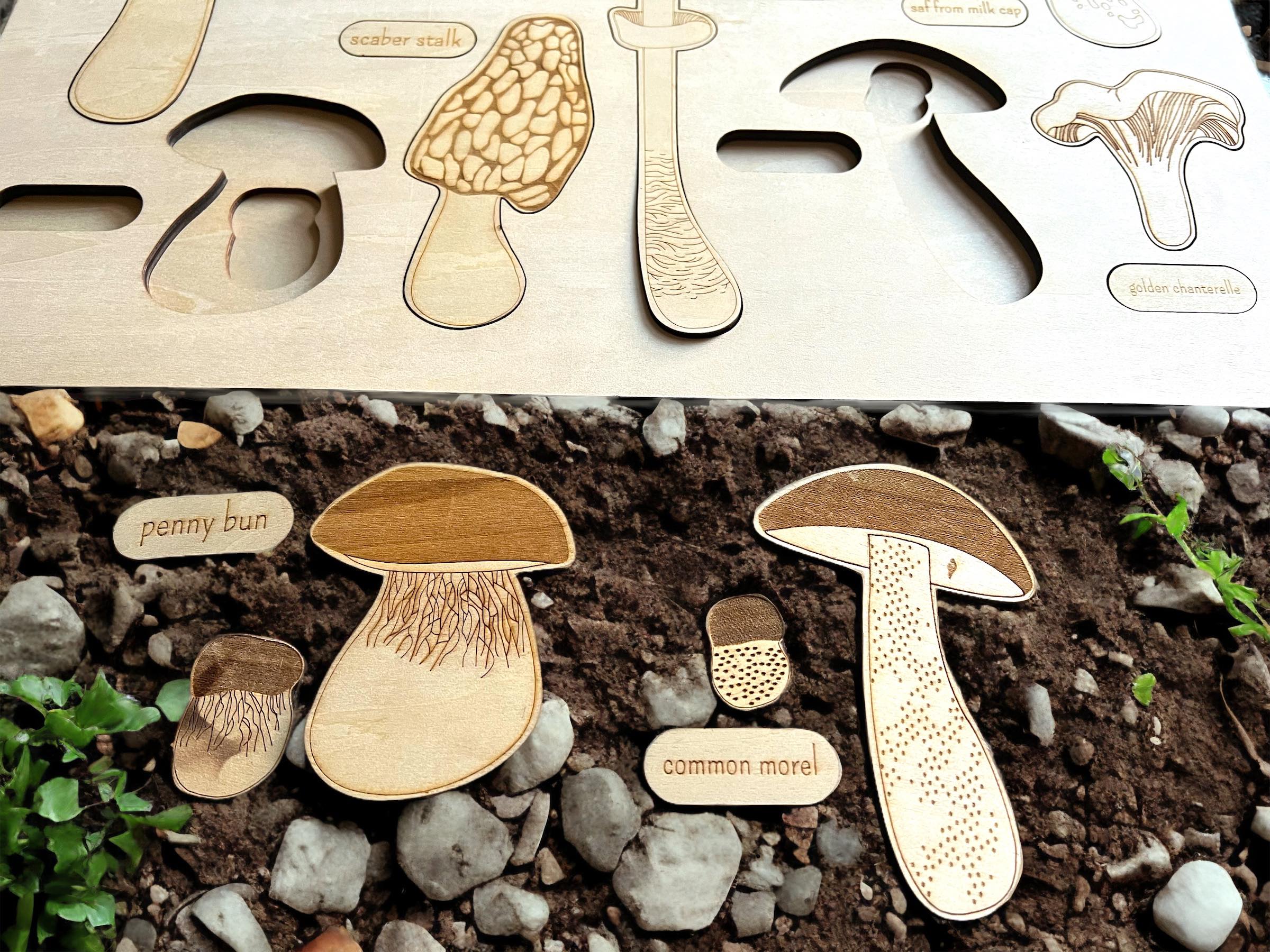 Educational Multi-Layered Wooden Puzzle