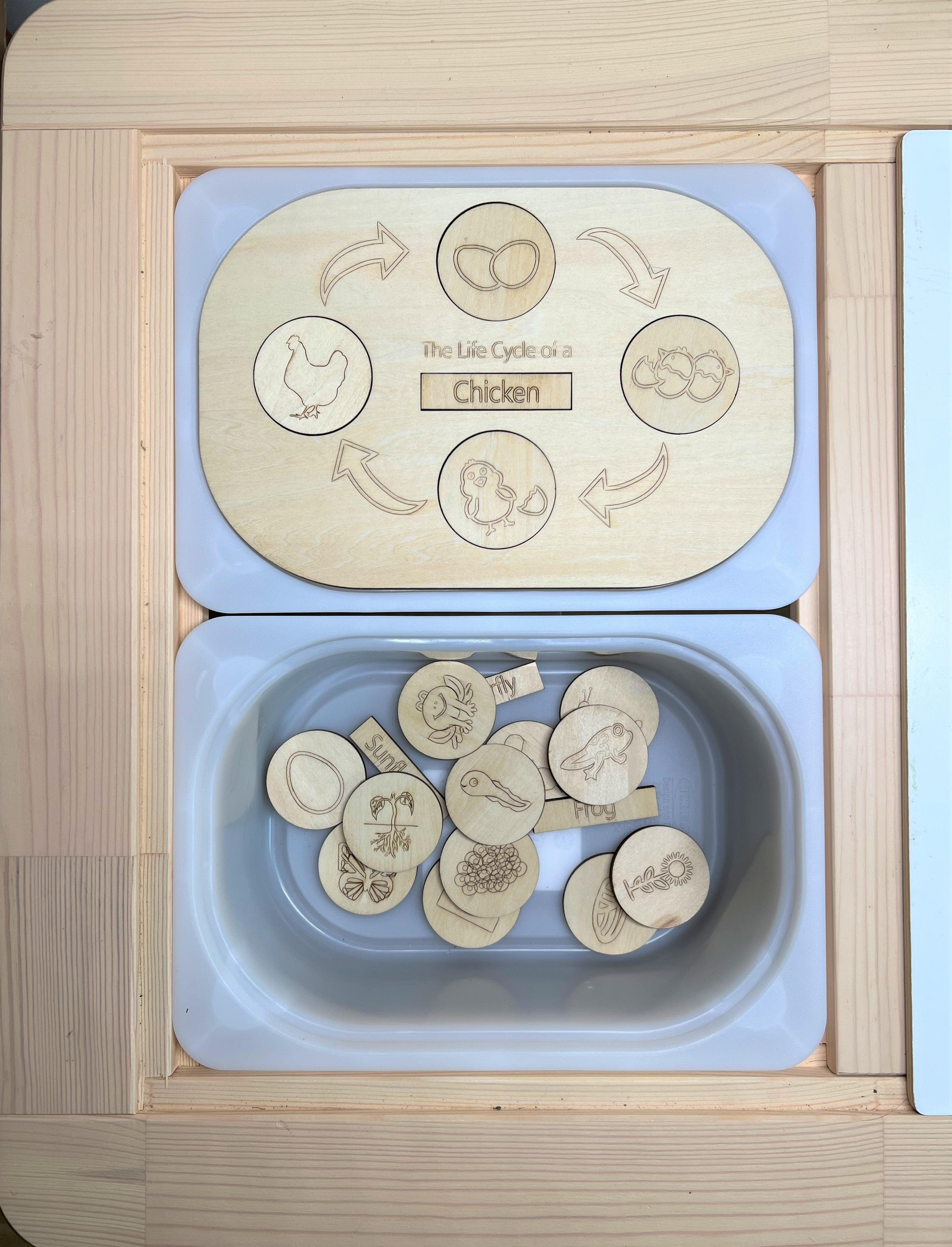 FLISAT Sensory Bin Insert Activity Board