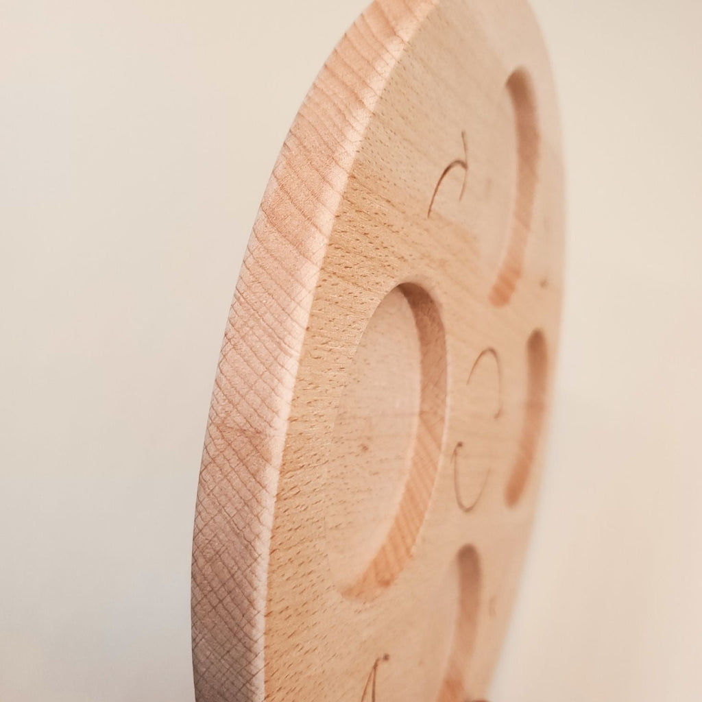 Double-Sided Wooden Life Cycle Board