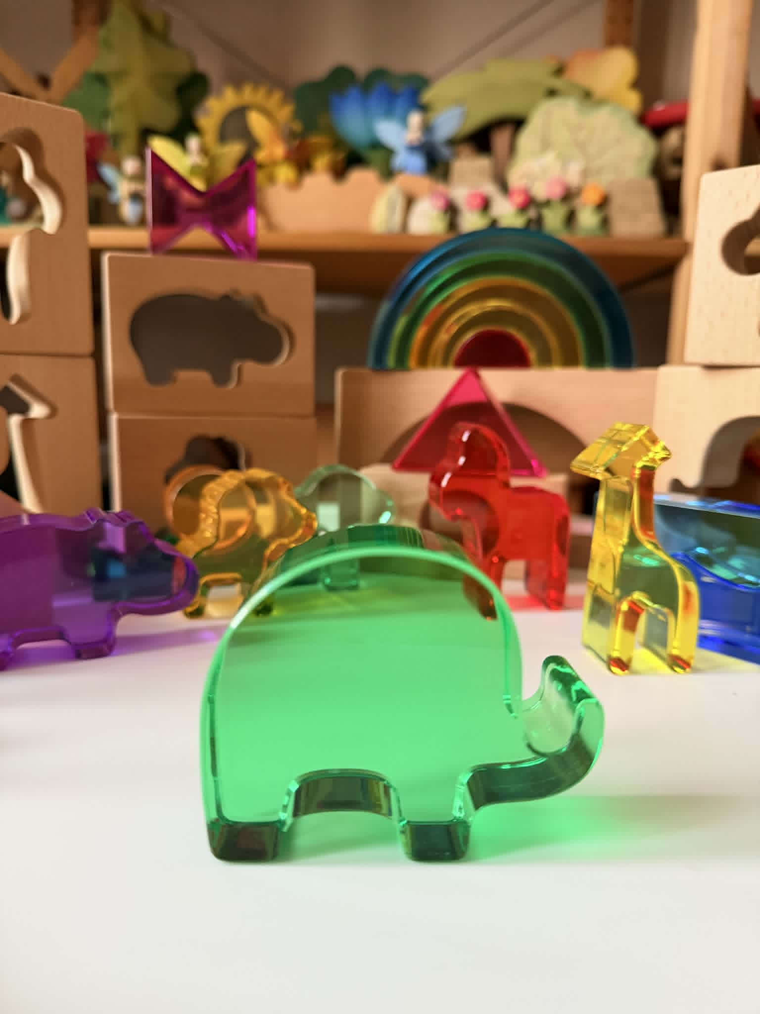 Green Elephant Original Design – Wild Rainbow Safari Blocks Exclusive Limited Edition Wooden & Acrylic Play Set