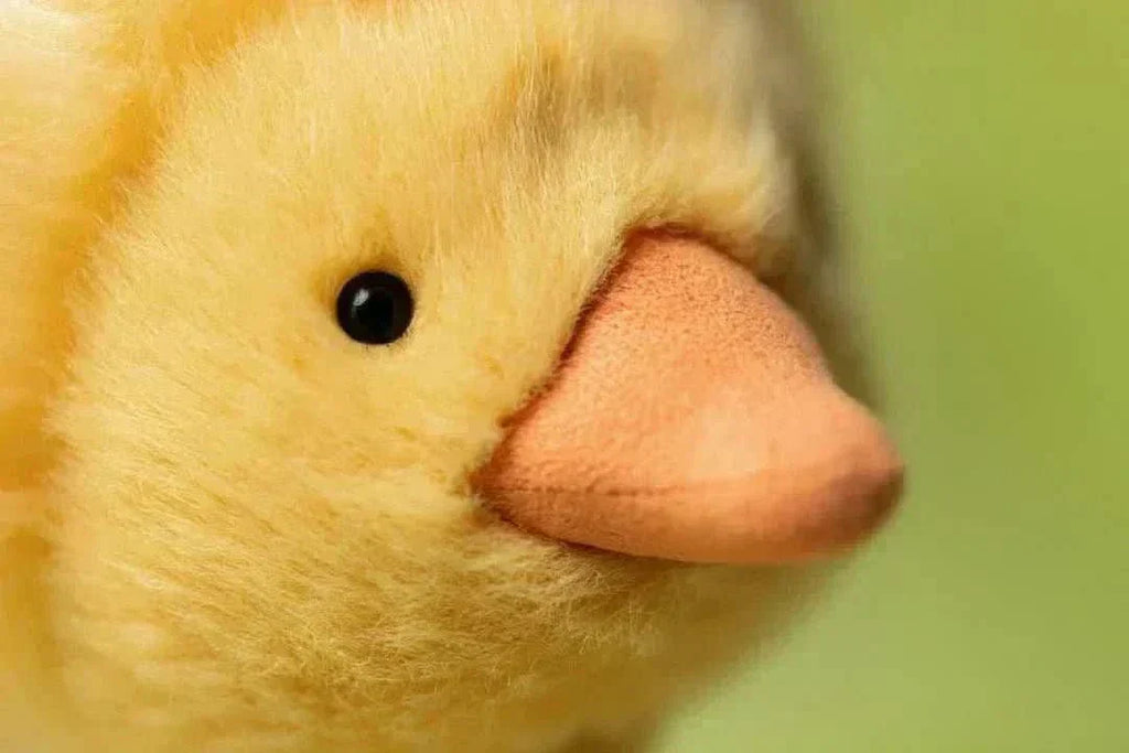 Duckling Plush Toy – 26 cm - Waydiy